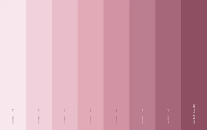 Blush — MacBook Neo