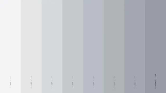 Silver — Pro Display XDR