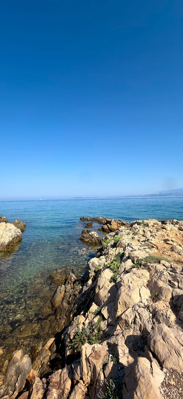 Point, cut for iPhone